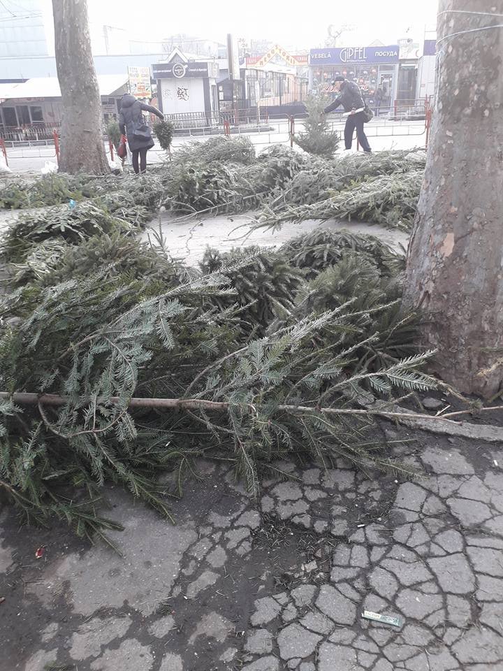 Десятки брошенных посреди улицы ёлок привели в ярость жителей Буюкан: фото