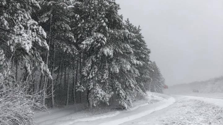 Снег создал захватывающий пейзаж по трассе Кишинев-Леушены (фото)