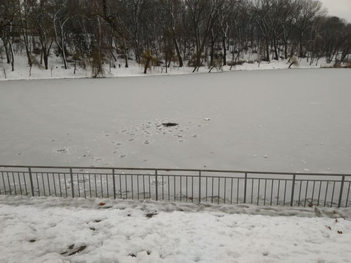 Дети подвергли свою жизнь опасности в «Долине Роз»: фото