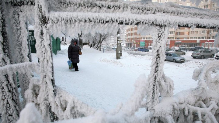 В Туве две пьяные женщины замерзли насмерть при -50 