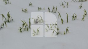 Прогноз погоды на 28 февраля