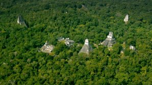 В Гватемале найден затерянный "мегаполис" майя