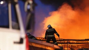 В Эстонии третий день тушат пожар на военном полигоне