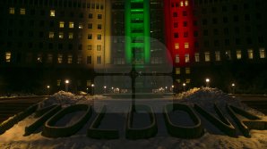 Здание парламента окрасили в цвета литовского флага (фоторепортаж) 