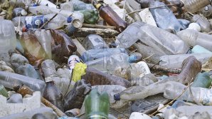 В Чимишлии решают, как ликвидировать стихийную свалку