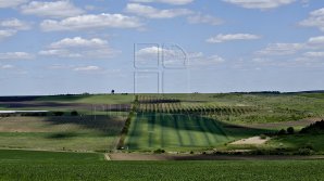 Названы самые дешевые земельные участки в пригородах Молдовы