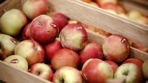 Пять человек задержаны за отмывание более 65 миллионов леев 