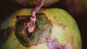 Сотрудники крематория рассказали, что не стоит класть в гроб