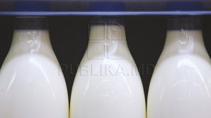 НАПБ начало проверку молочной продукции