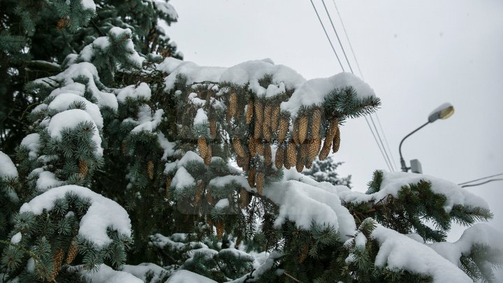 Прогноз погоды на 18 февраля