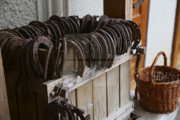 Житель Теленешт открыл музей старины в собственном доме: фото