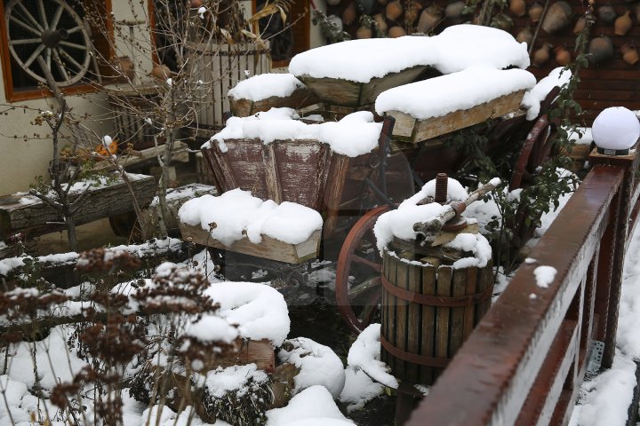 Житель Теленешт открыл музей старины в собственном доме: фото