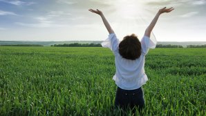 ООН назвала самые счастливые страны мира