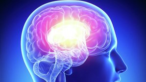 Бессмертие в обмен на собственную жизнь: американский миллиардер принял участие в новом стартапе