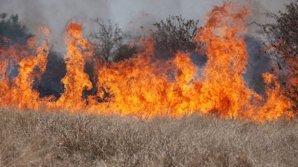 В Риге начался крупный пожар, огонь быстро распространяется