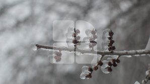 Прогноз погоды на 21 марта 