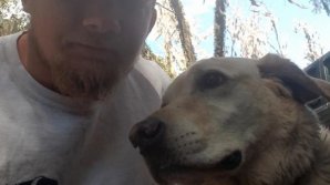 Героическая собака спасла тонущего мужчину