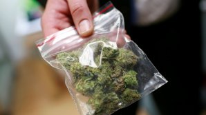 Жителя Кишинёва обвиняют в контрабанде гашиша 