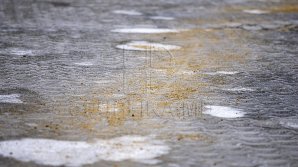 На национальные трассы выведены 230 единиц спецтехники для борьбы с непогодой 