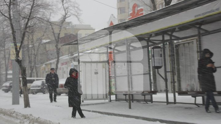 Муниципальные власти: снегоуборочные работы в столице ведутся в режиме нон-стоп (фото)