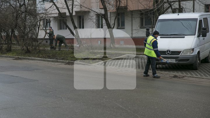 Кишинёв приводят в порядок по распоряжению Сильвии Раду: фото