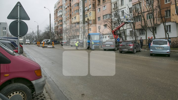 Кишинёв приводят в порядок по распоряжению Сильвии Раду: фото