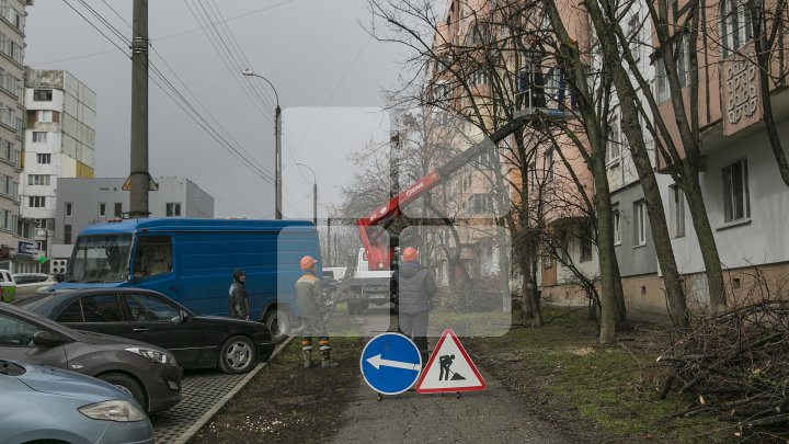 Кишинёв приводят в порядок по распоряжению Сильвии Раду: фото