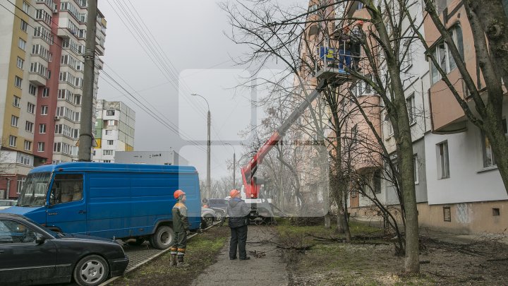 Кишинёв приводят в порядок по распоряжению Сильвии Раду: фото