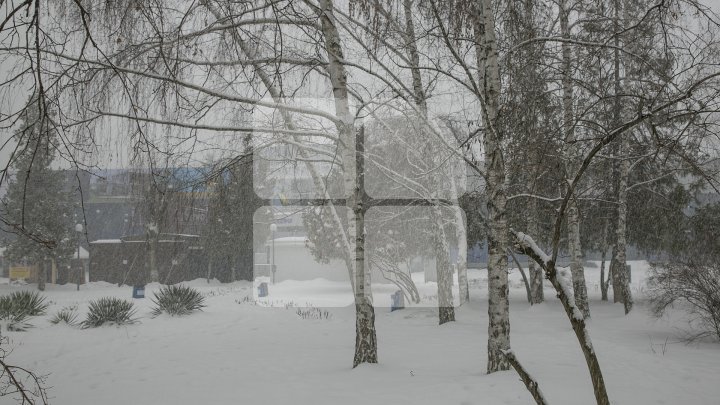 Снегопады в Молдове не прекращаются: фото