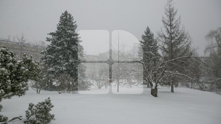 Движение крупнотоннажного транспорта приостановлено на некоторых национальных дорогах