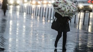 МЧС предупредило москвичей об усилении ветра и дождя