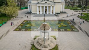 О цветочном ковре в центре столице написали в испанском издании (фото) 