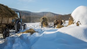 В минсельхозе рассказали, как скажется мартовский снегопад на урожае 