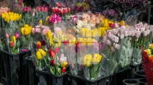 На Радоницу возле кладбищ появляются стихийные рынки