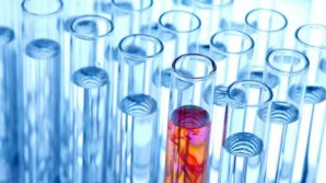 Учёные выяснили причины распространения заразного рака