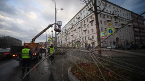 Московский ураган повалил 600 деревьев, повредил 30 домов и 92 машины: фото 