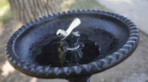 В столичных парках вновь заработали питьевые фонтанчики