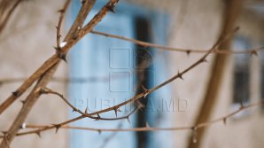 Социальное жилье в Хынчешстком районе остается незанятым