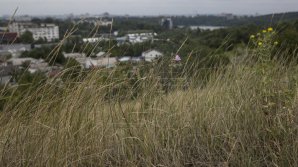 Синоптики объявили желтый код метеоопасности из-за сильного ветра