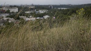 В Молдове объявлен желтый код метеоопасности в связи с сильным ветром