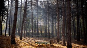 Жители Кишинева проводят первомайские праздники на природе