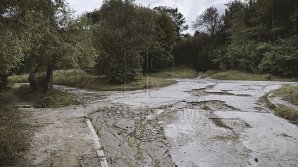 В парке La Izvor отремонтируют центральную аллею