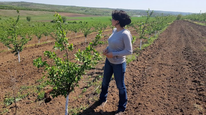 Сильвия Раду успевает проводить время с мужем и детьми: фото