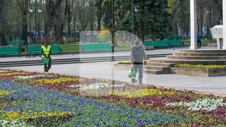 О цветочном ковре в центре столице написали в испанском издании (фото) 