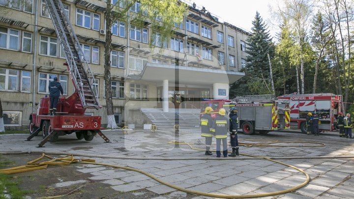 Эксперты оценили ущерб после крупного пожара в Институте зоологии (фото) 