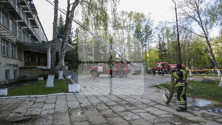 Эксперты оценили ущерб после крупного пожара в Институте зоологии (фото) 