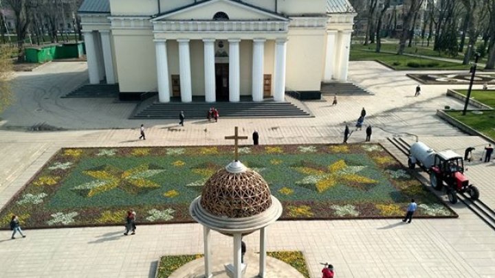 В центре Кишинёва появился ковёр из 200 тысяч фиалок: фото