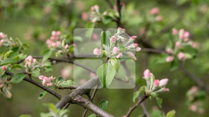 Прогноз погоды на 18 апреля