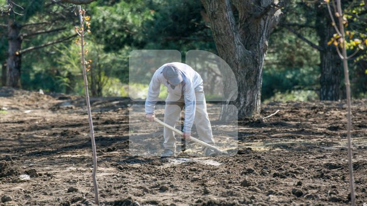 Что произошло в столице за эту неделю