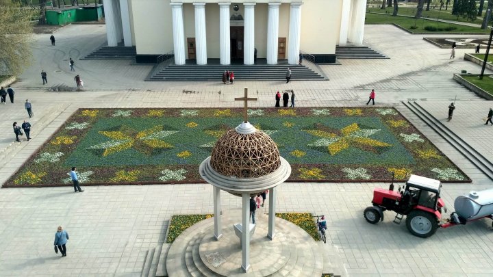 В центре Кишинёва появился ковёр из 200 тысяч фиалок: фото